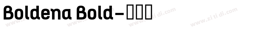 Boldena Bold字体转换